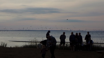 SANKT HANS LYSTRUP STRAND 2019 47.jpg